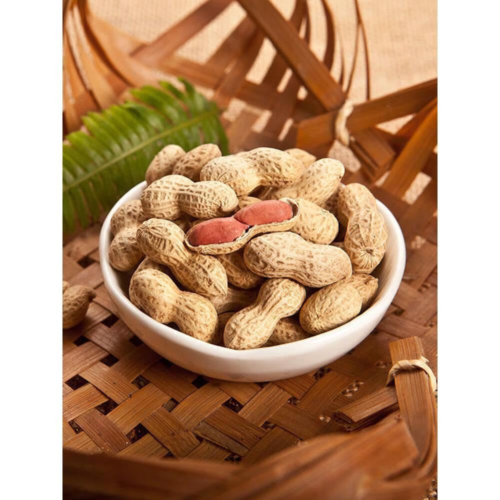 雋顏堂童年記五香瓜子 500g大包裝，帶你重溫湖南風味